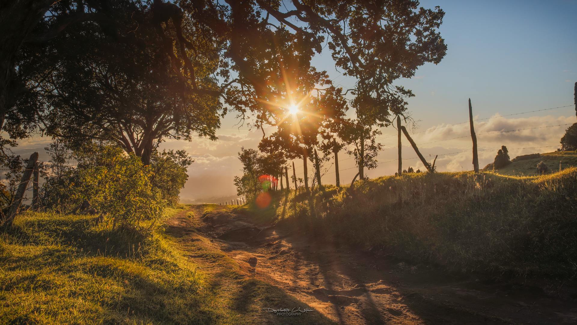 Premium stone wall installation